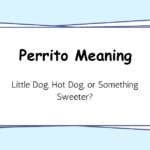 Perrito Meaning — Little Dog, Hot Dog, or Something Sweeter?