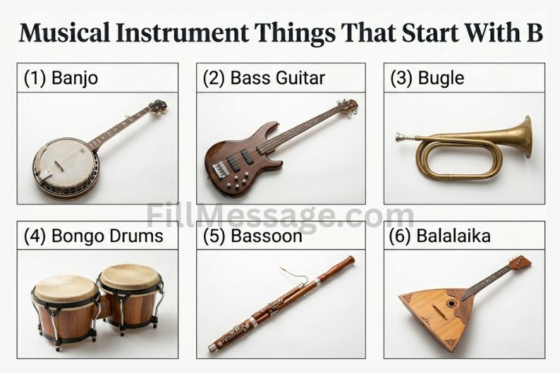 Musical Instrument Things That Start With B