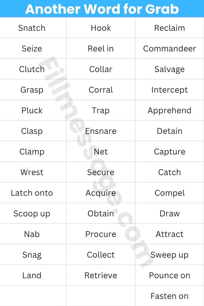 The Full Another Word for Grab Table: All 40 Words